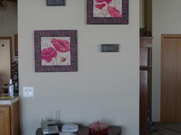 P1020572